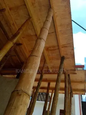 සැටලිම වර්ග අඩි 1300
