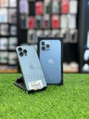 Apple iPhone 13 Pro Max 1TB (Used)