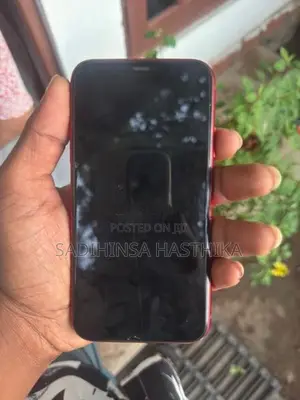 Apple iPhone 11 128GB (Used)