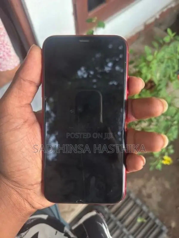 Apple iPhone 11 128GB (Used)