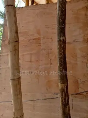 සැටලිම වර්ග අඩි 1300