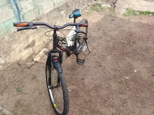 Lumala Bike
