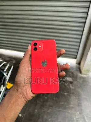Apple iPhone 12 (Used)