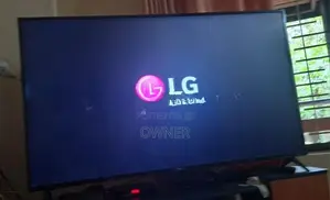 LG 65" TV