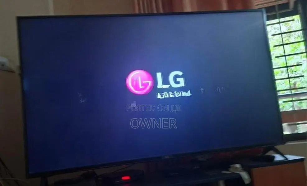 LG 65" TV
