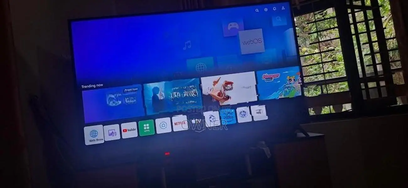 LG 65" TV