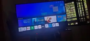 LG 65" TV