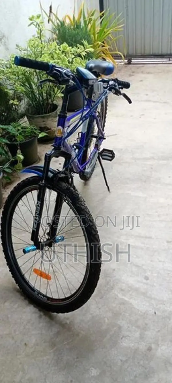 DSI Bicycle