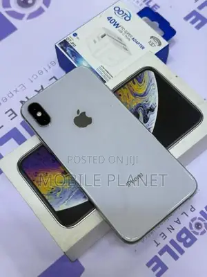 Apple iPhone XS 256GB (Used)