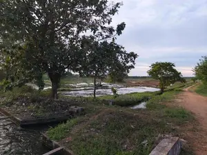Land for sale in Kanthale