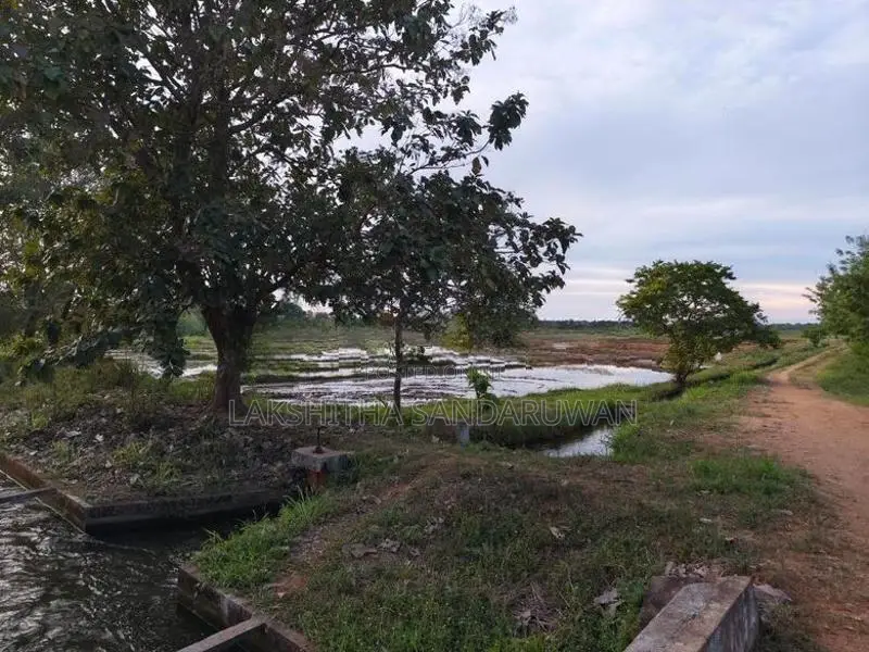 Land for sale in Kanthale