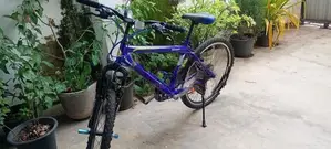 DSI Bicycle