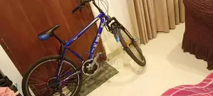 DSI Bicycle