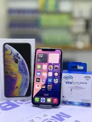 Apple iPhone XS 256GB (Used)