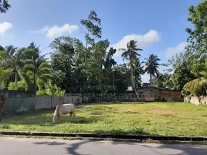 Bare Land for Sale – Prime Location in Galle