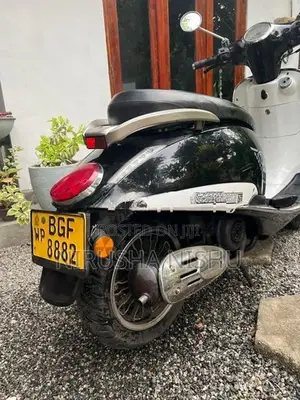 Demak Transasia 2018