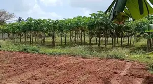 Land for Sale in Urumpirai East Jaffna