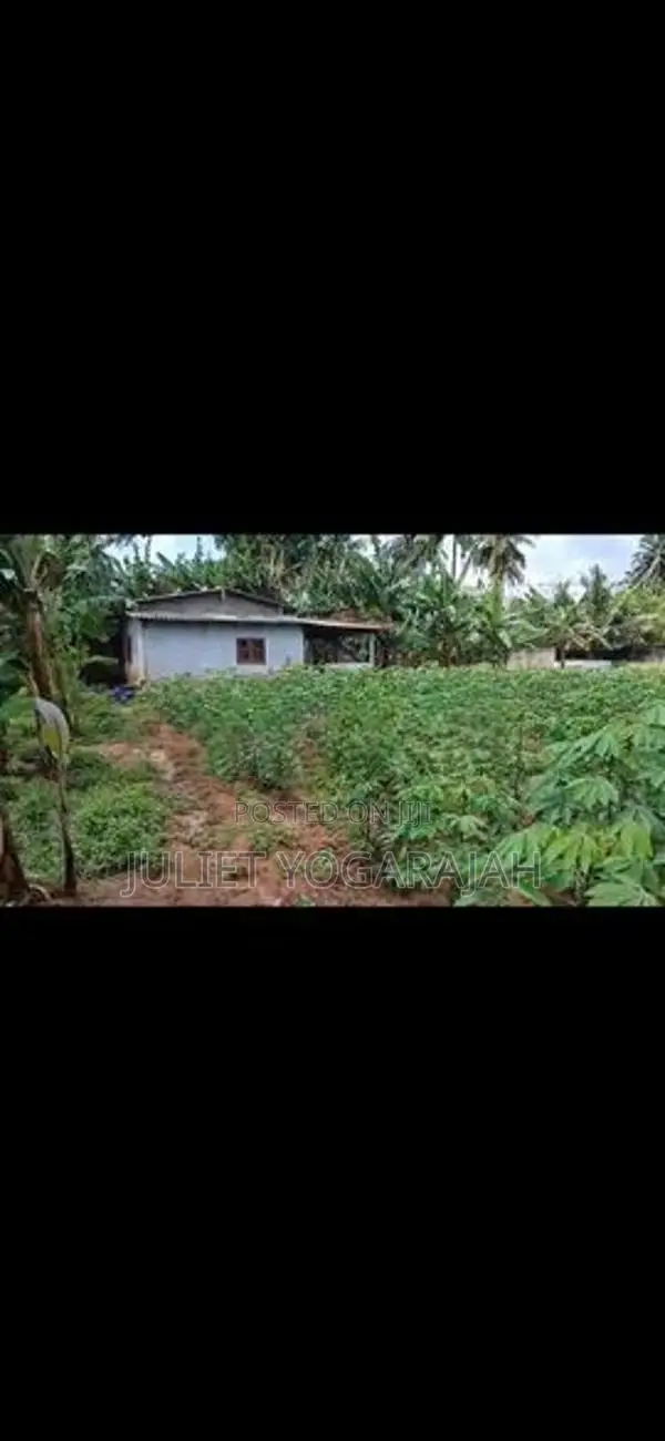 Land for Sale in Urumpirai East Jaffna