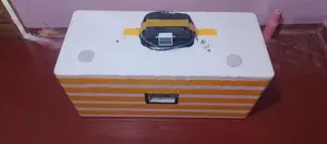 70 EGG Automatic Incubator