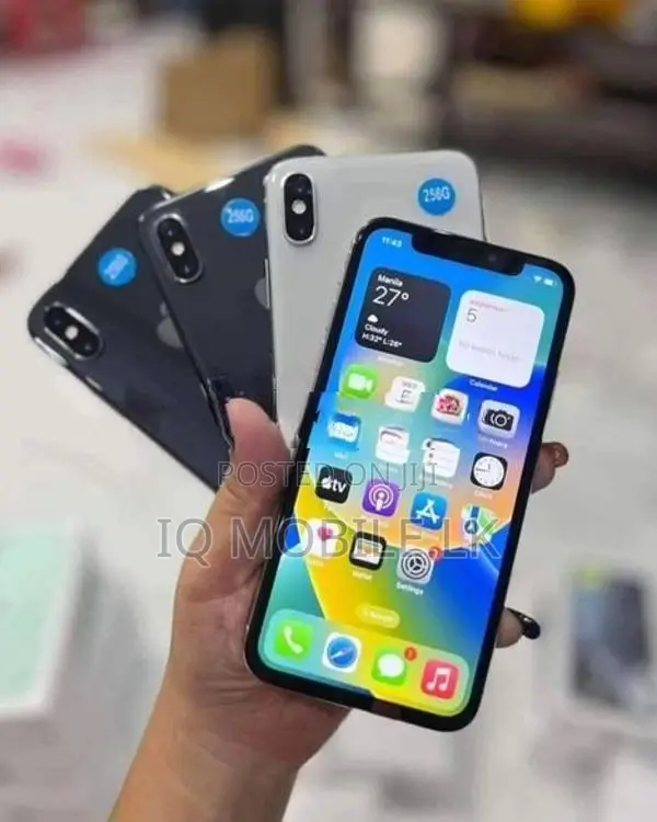 Apple iPhone X 256GB LL/A (Used)
