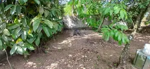 Prime 9.5P Land in Thalangama -Kaduwela | SL14802
