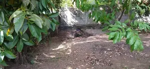 Prime 9.5P Land in Thalangama -Kaduwela | SL14802