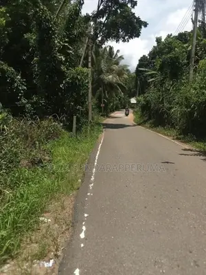 Land for Sale Nilwakka - Kegalle