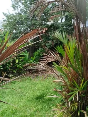 Two story house for rent