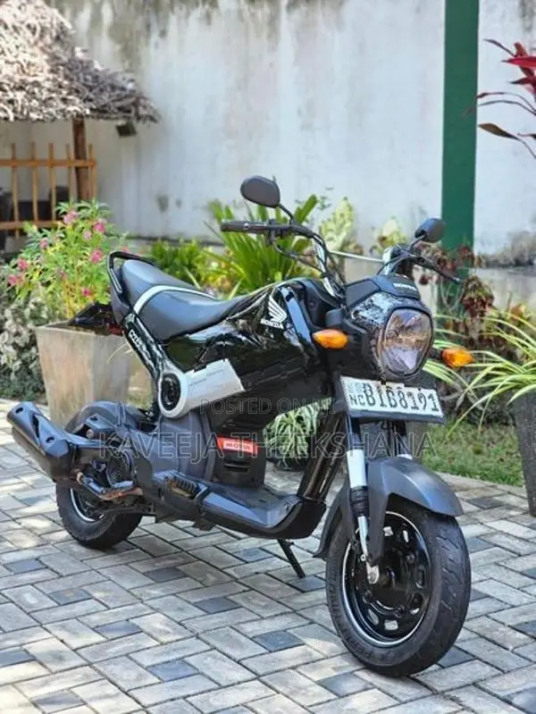 Honda Navi 2017