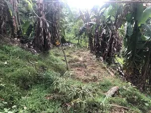 Land for sale in Kandy