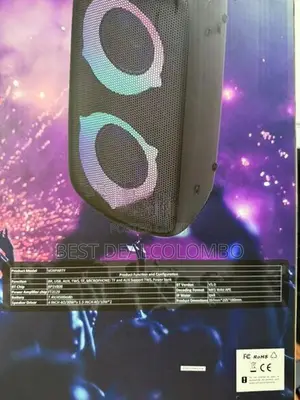 Skyvox VOX Party Box Speaker