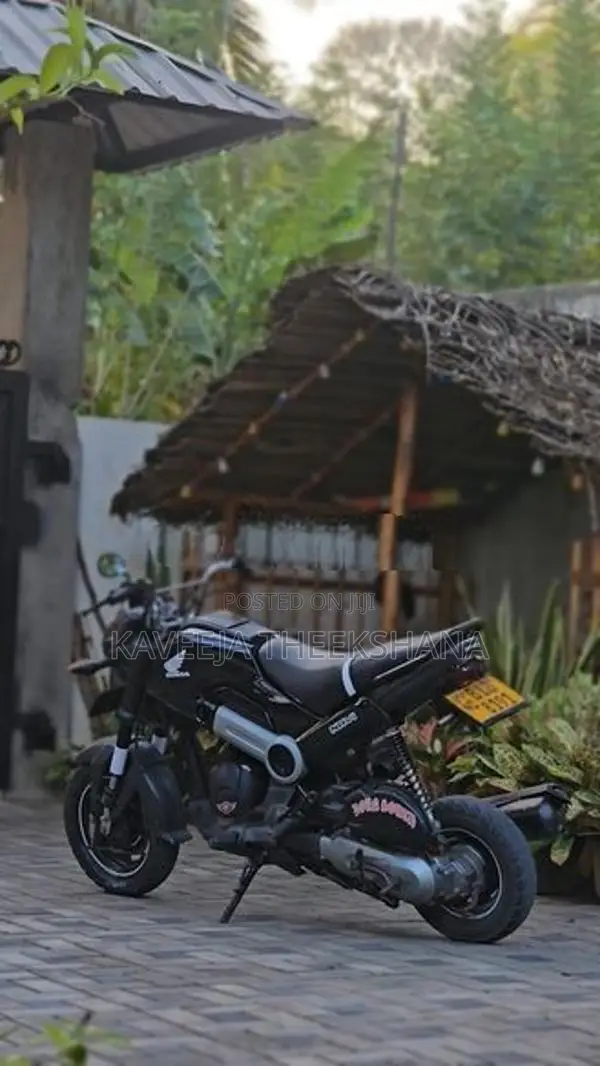 Honda Navi 2017