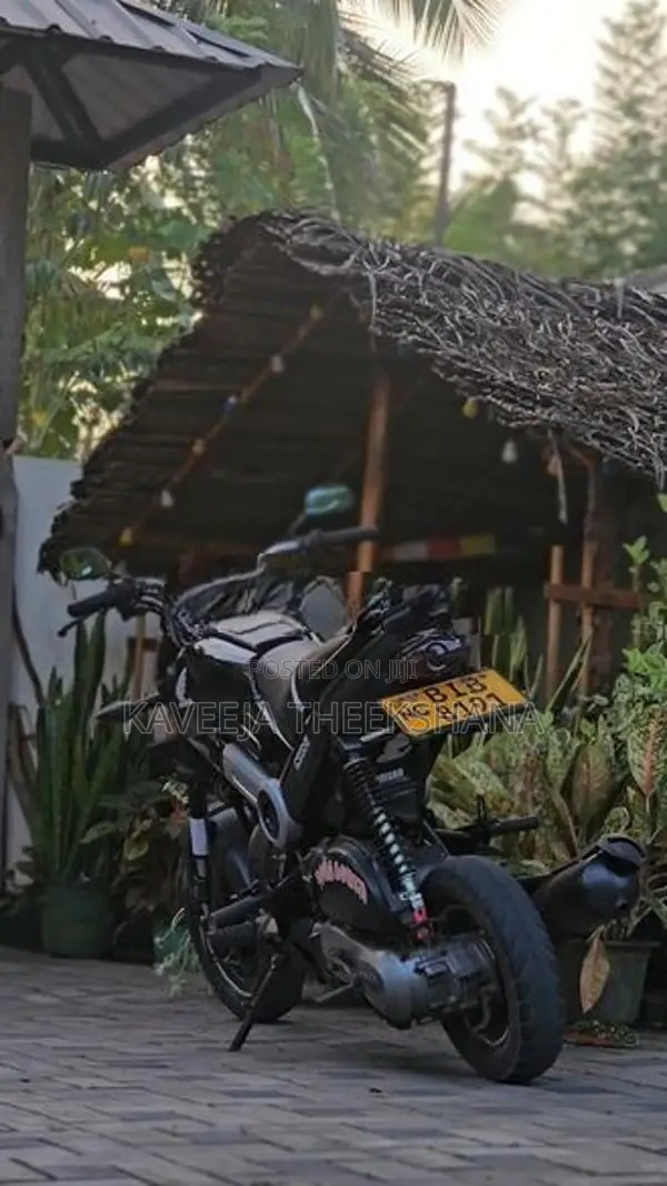 Honda Navi 2017