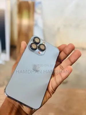 Apple iPhone 13 Pro (Used)