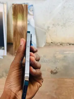 Apple iPhone 13 Pro (Used)