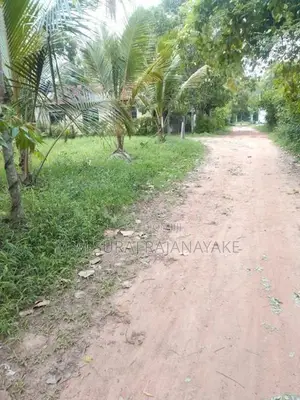 Land for Sale in Kadawala - Divulapitiya Road