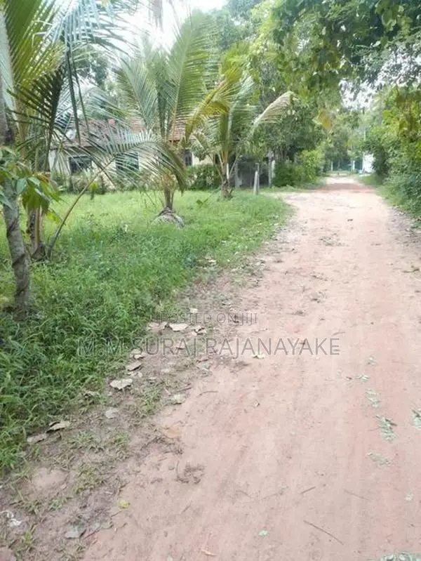 Land for Sale in Kadawala - Divulapitiya Road