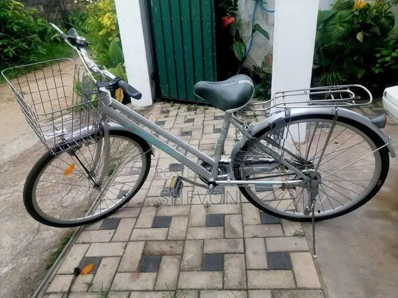 Lumala Ladies Bicycle