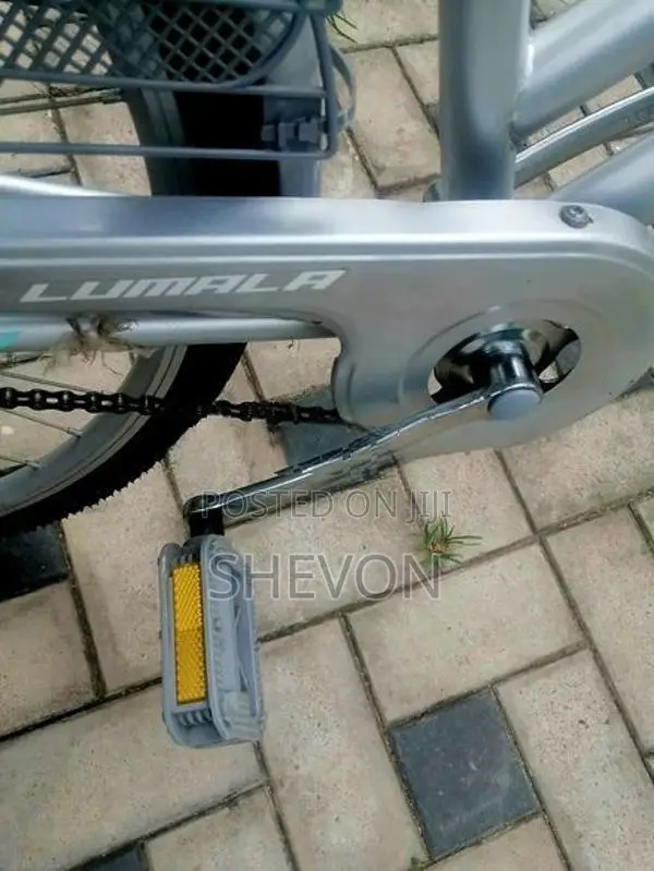 Lumala Ladies Bicycle