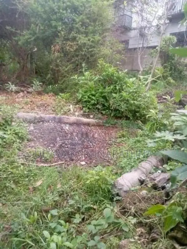 Land for Sale Hibutana