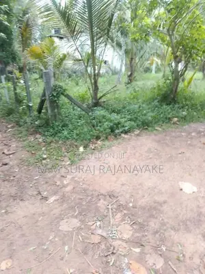 Land for Sale in Kadawala - Divulapitiya Road