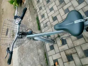 Lumala Ladies Bicycle