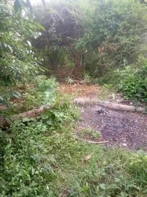 Land for Sale Hibutana