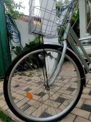 Lumala Ladies Bicycle