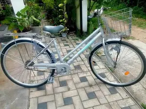 Lumala Ladies Bicycle