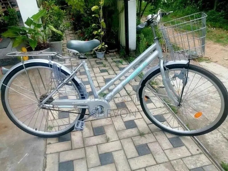 Lumala Ladies Bicycle
