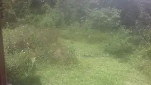 Land For Sale in Mathugama Road Nebada Anguruwatota