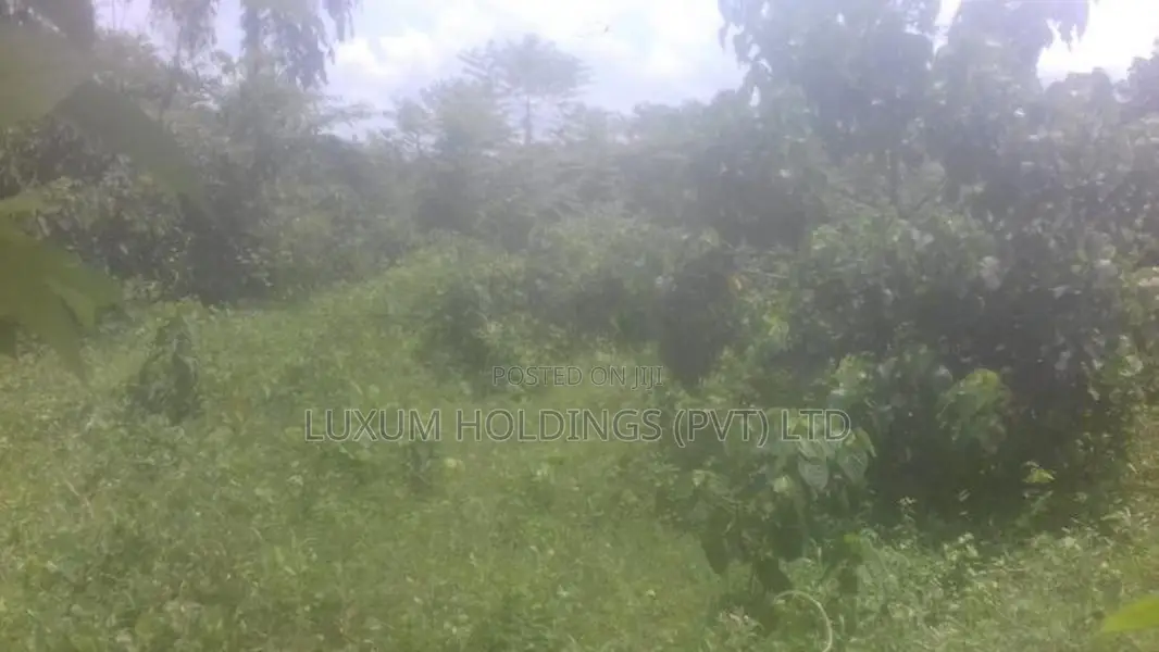 Land For Sale in Mathugama Road Nebada Anguruwatota