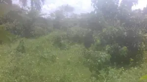 Land For Sale in Mathugama Road Nebada Anguruwatota