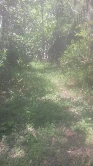 Land For Sale in Mathugama Road Nebada Anguruwatota